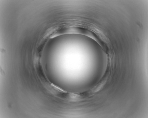 X0000091240333200708091440