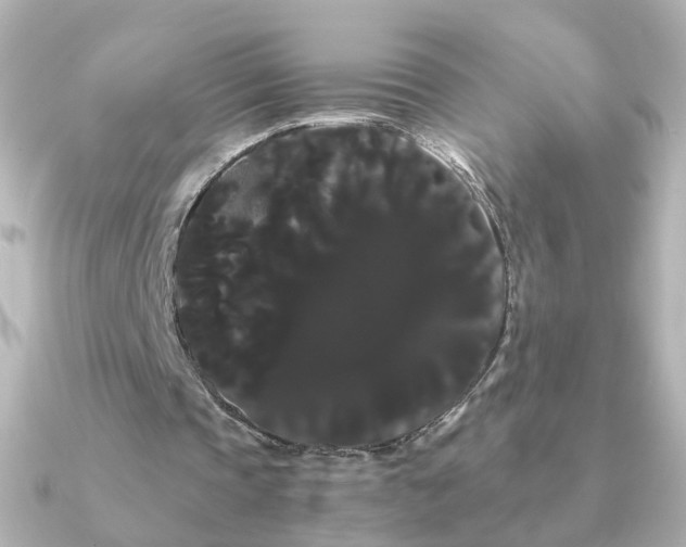 X0000091240337200708091439