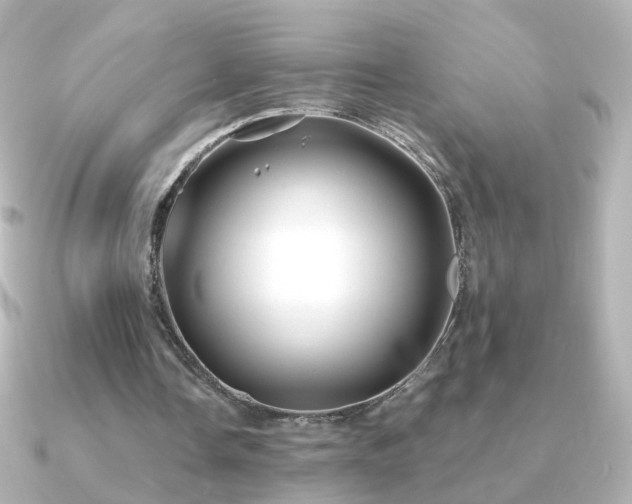 X0000091240338200708091439