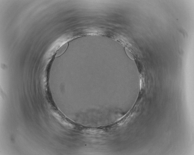 X0000091240339200708091439