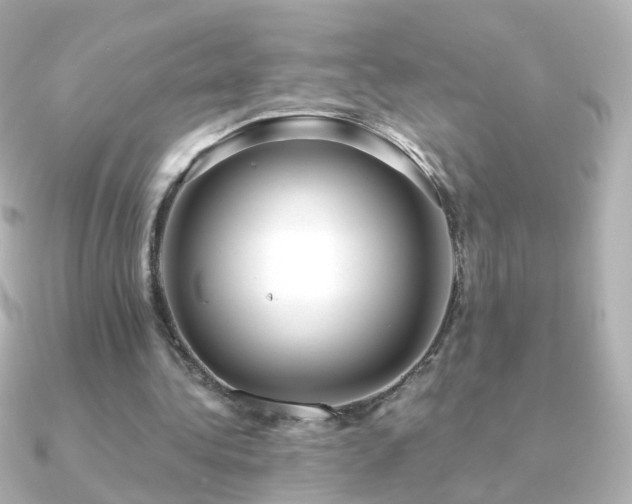 X0000091240340200708091439