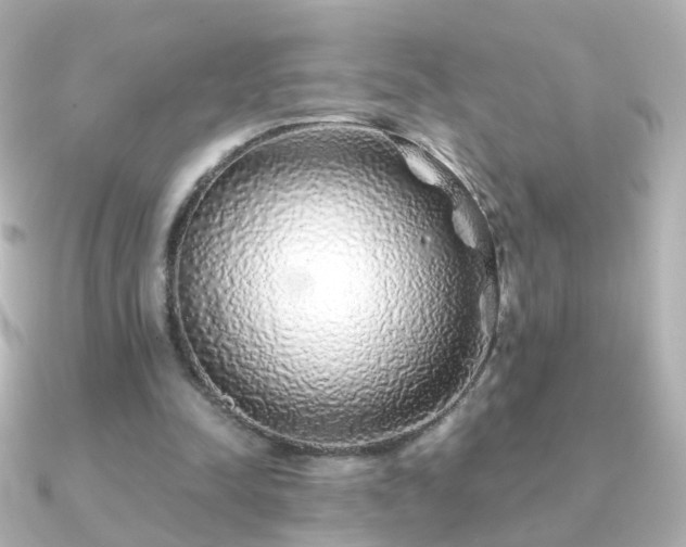 X0000091240342200708091439