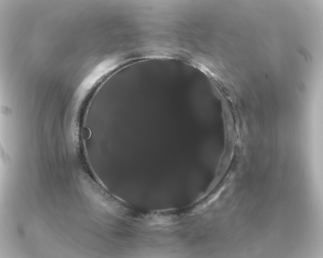 X0000091240343200708091439