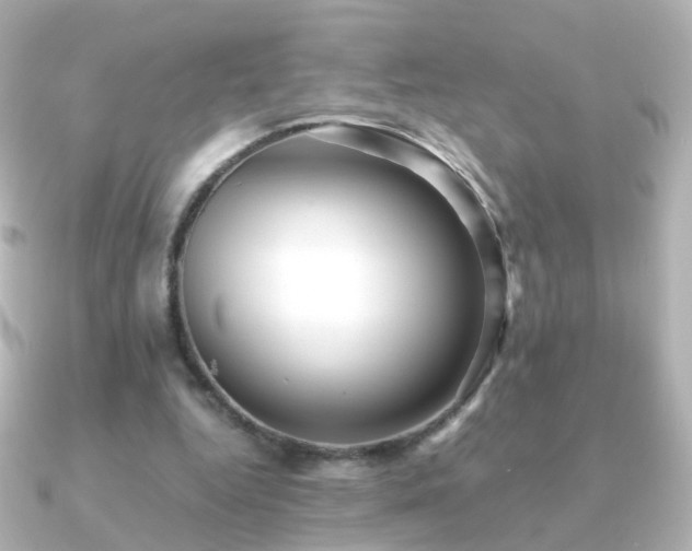 X0000091240344200708091439