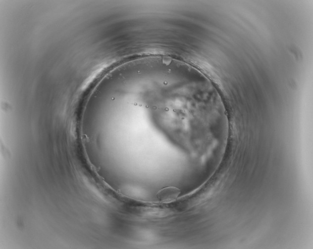 X0000091240347200708091439