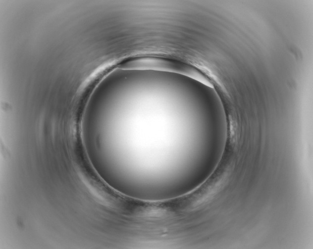 X0000091240348200708091439