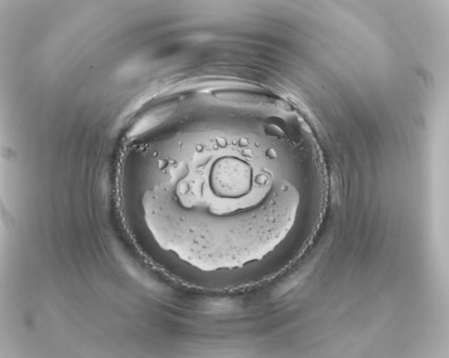 X0000091240349200708091439