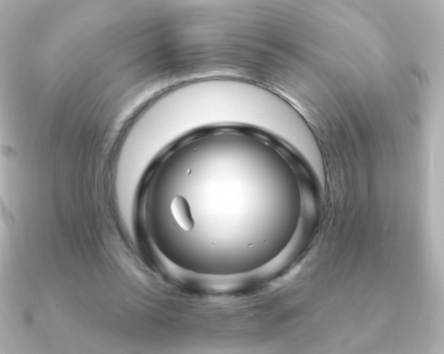 X0000091240350200708091439