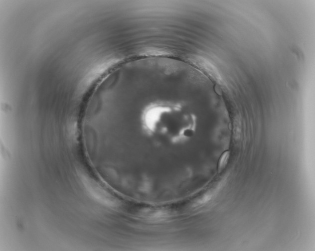 X0000091240351200708091439