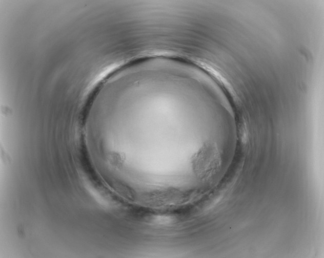 X0000091240352200708091439