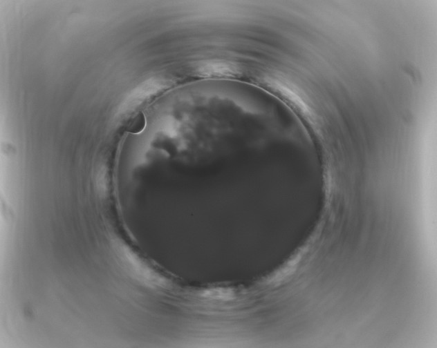 X0000091240353200708091439