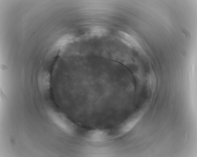 X0000091240356200708091439