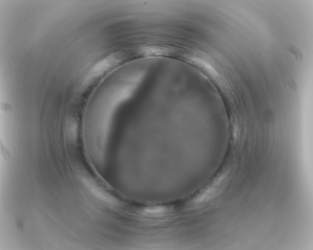 X0000091240357200708091439
