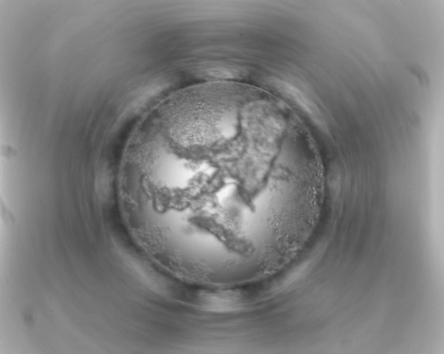 X0000091240359200708091439
