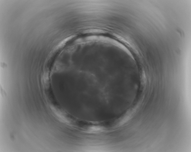 X0000091240360200708091439