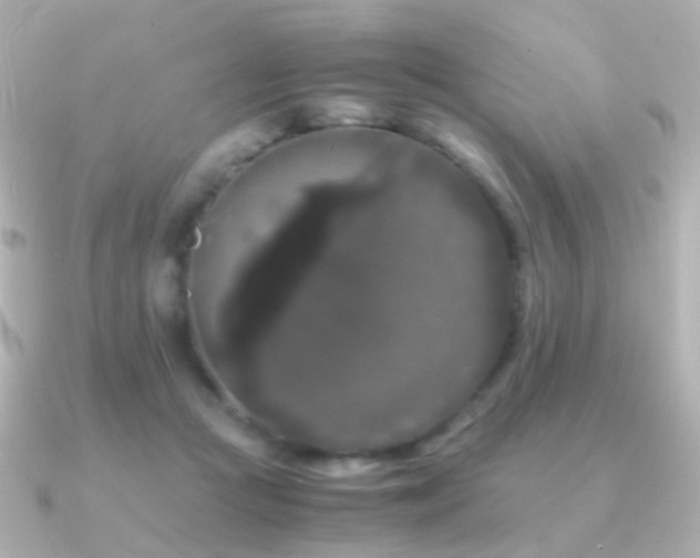 X0000091240361200708091439