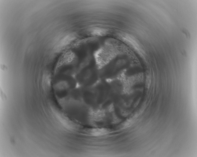 X0000091240363200708091439