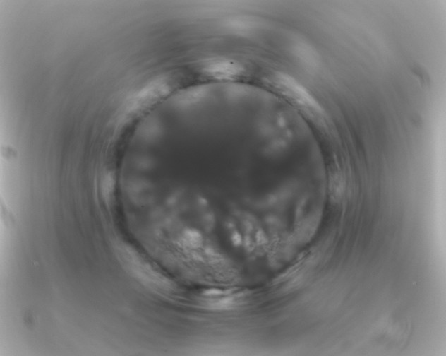 X0000091240365200708091439