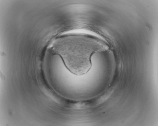 X0000091240366200708091439