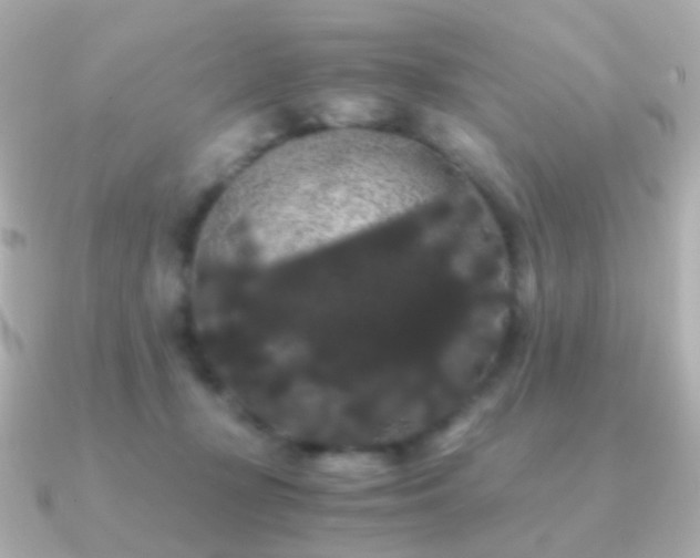 X0000091240367200708091439