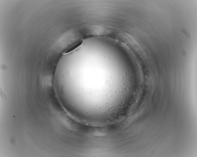 X0000091240368200708091439
