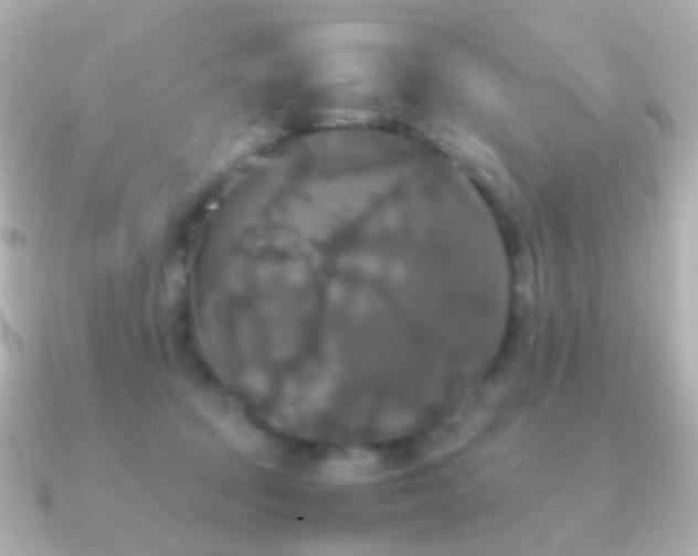 X0000091240369200708091439