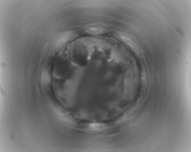 X0000091240371200708091439