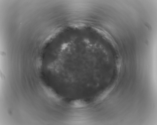 X0000091240372200708091439