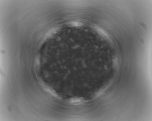 X0000091240373200708091439