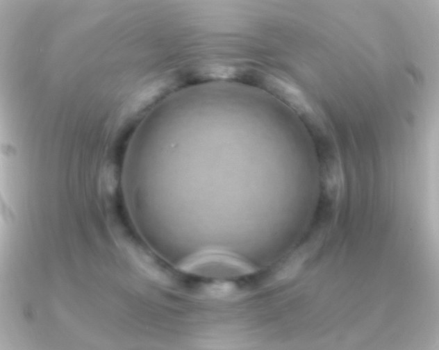 X0000091240374200708091440