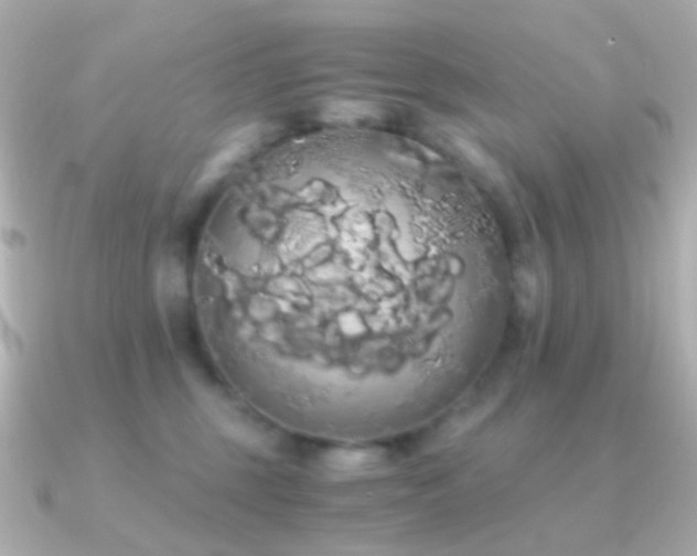 X0000091240375200708091440