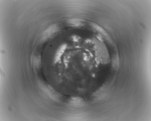 X0000091240376200708091440