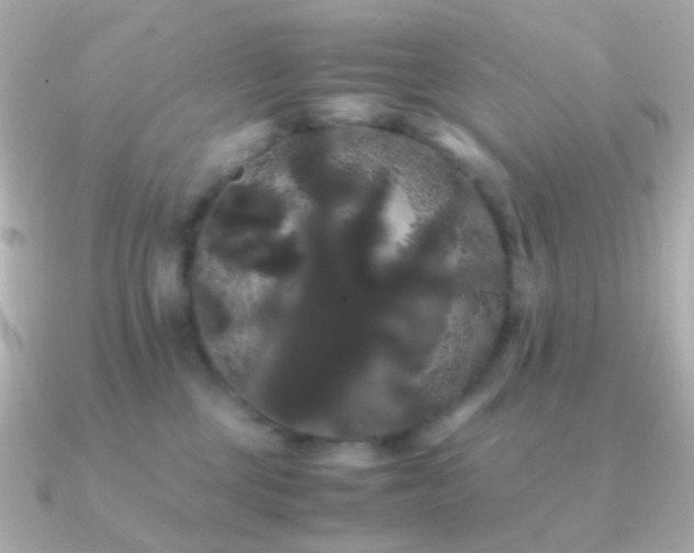 X0000091240377200708091440