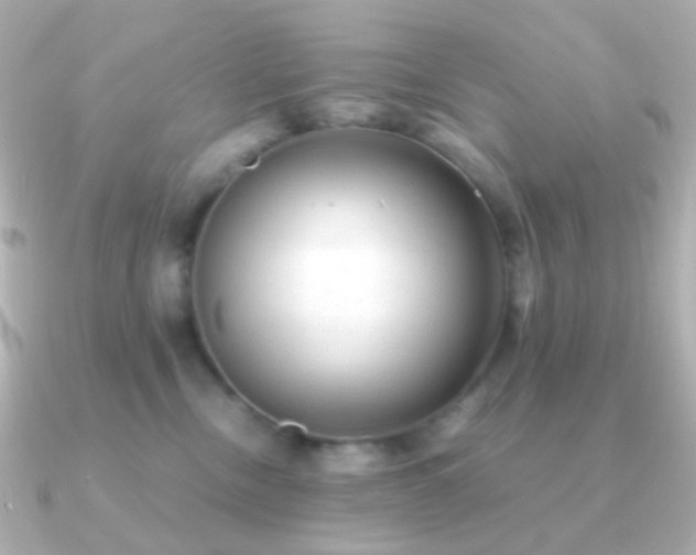 X0000091240378200708091440
