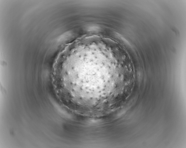 X0000091240379200708091440