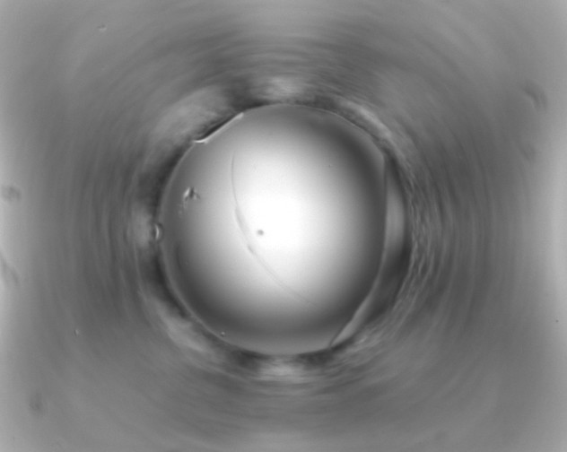 X0000091240380200708091440