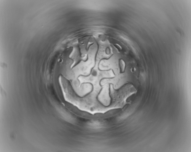 X0000091240381200708091440