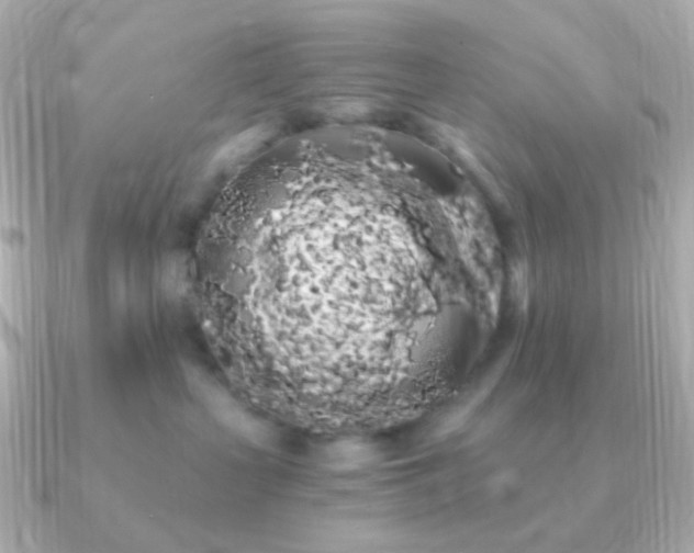 X0000091240383200708091440