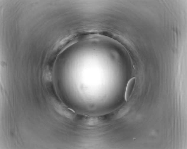 X0000091240384200708091440