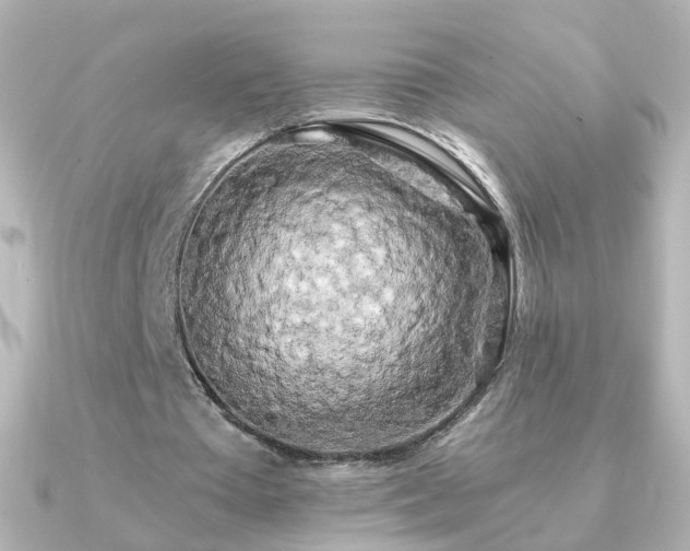 X0000091240385200708091439