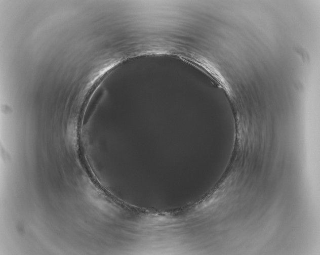 X0000091240386200708091439