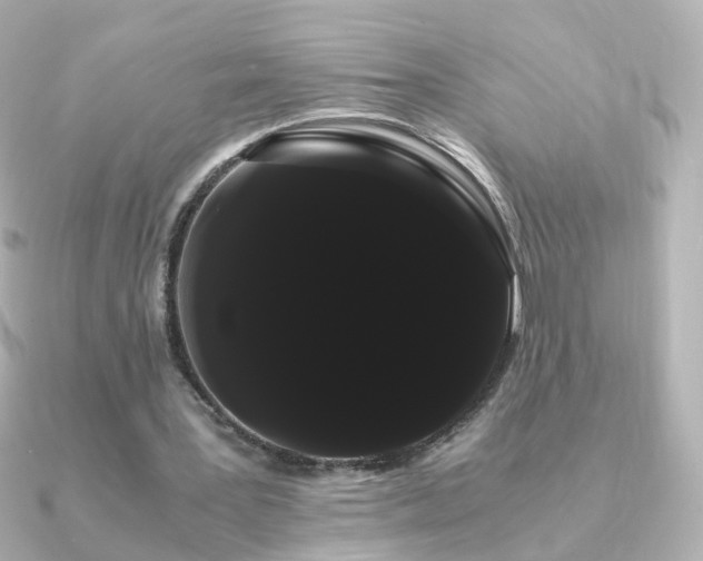 X0000091240387200708091439