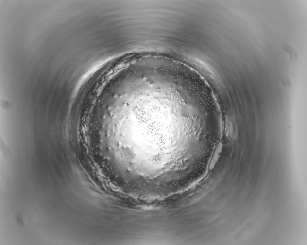 X0000091240388200708091439