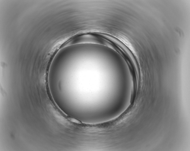 X0000091240389200708091439