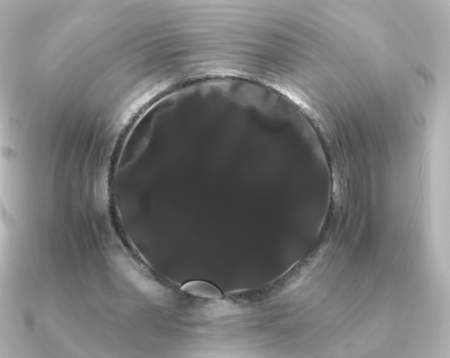 X0000091240390200708091439