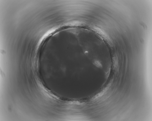 X0000091240392200708091439