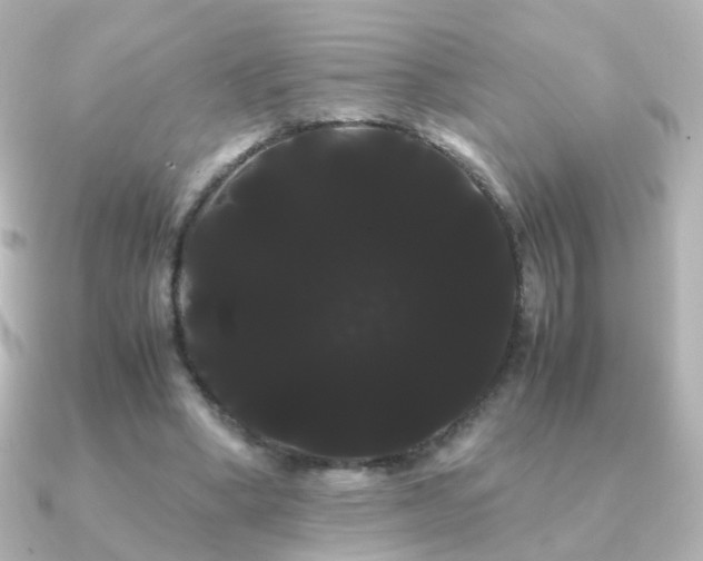 X0000091240394200708091439