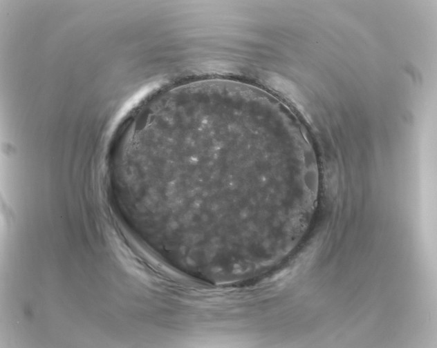 X0000091240395200708091439