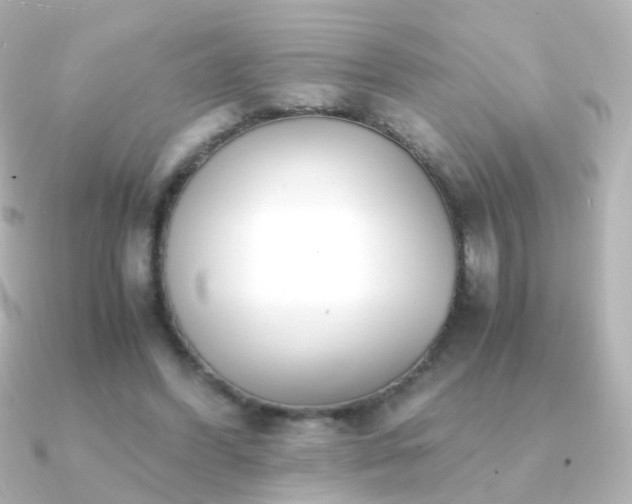 X0000091240396200708091439