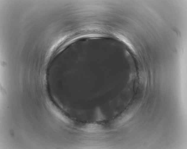 X0000091240399200708091439